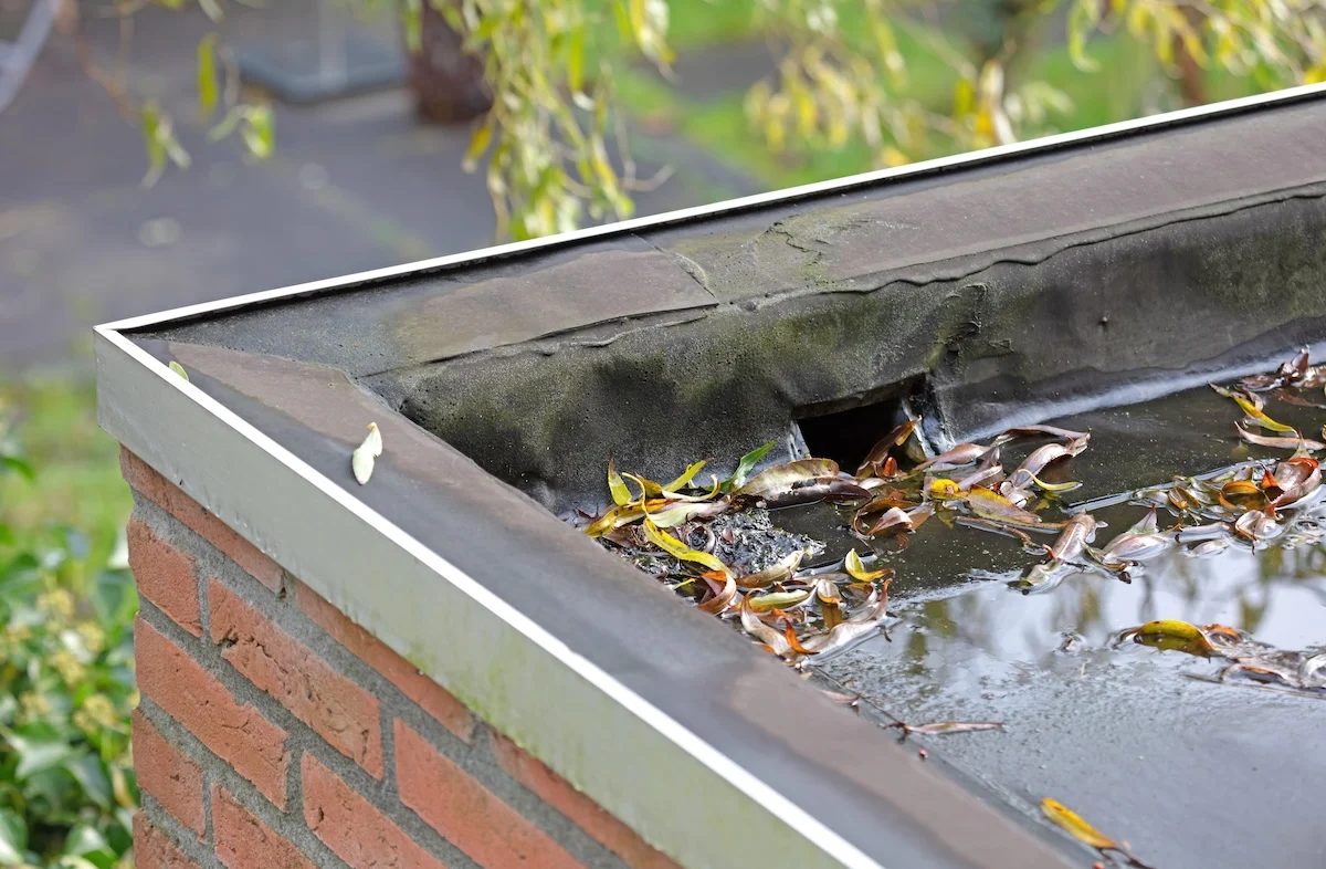 Roof Drains Scuppers in Houston, TX